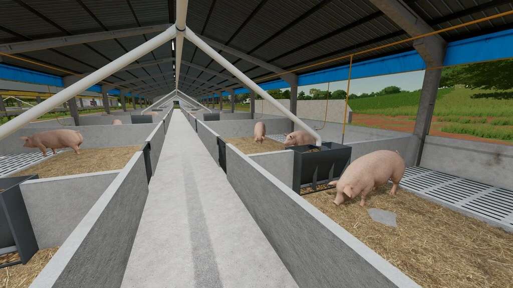 Строительство сарая для вислобрюхих свиней своими руками
